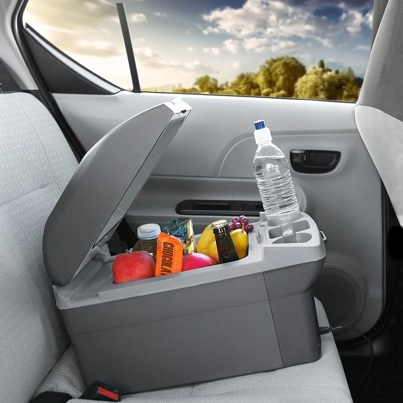 12V Thermo-electric 14L Cooler
